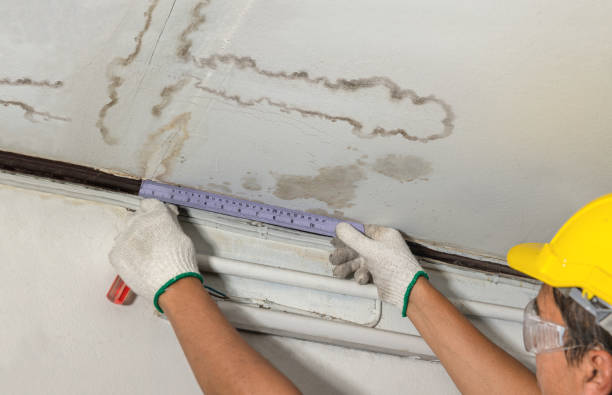 Reliable Mold Remediation contractor in Hamden, OH by Water Damage Irwin